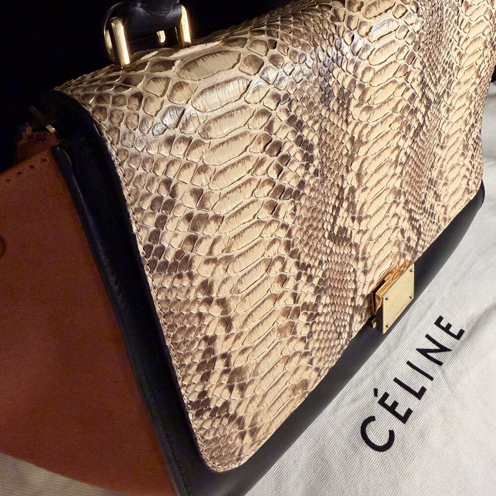 Celine Beige Python Tricolor Leather Medium Trape… - image 2